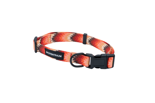 Halsband Trio - Alltagshundehalsband