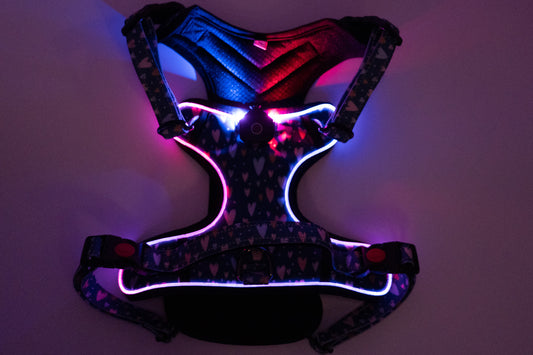 Hunde Geschirr "Quira" LED Night
