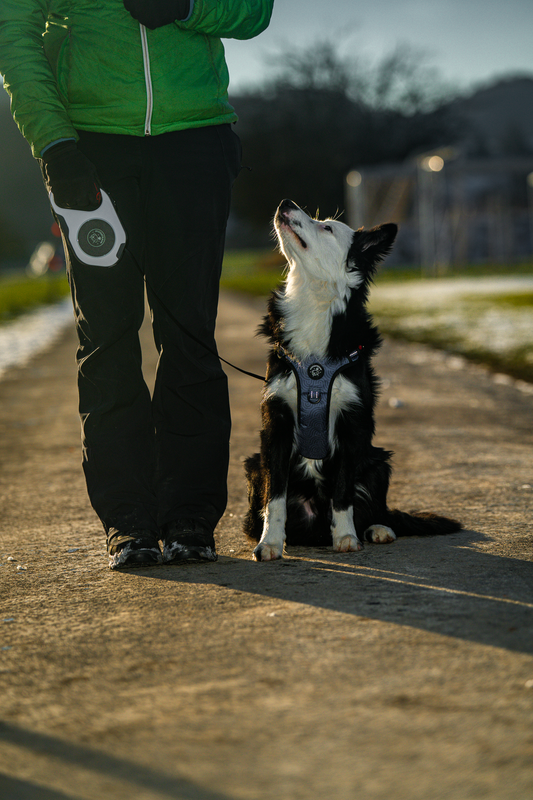 LED Roll-Leine Luna - die Ausziehleine neu erfunden