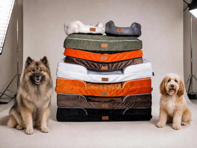 Hundebettchen - Orthopädisch und elegant