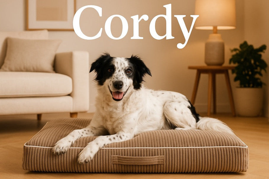 Hunde Bett Cordy