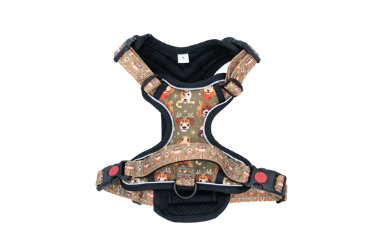 Pfotentraum Festtags-Geschirr – Limited Christmas Edition 🎅