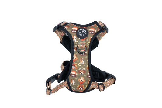 Pfotentraum Festtags-Geschirr – Limited Christmas Edition 🎅