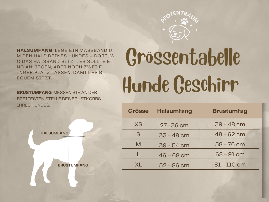 Pfotentraum Festtags-Geschirr – Limited Christmas Edition 🎅