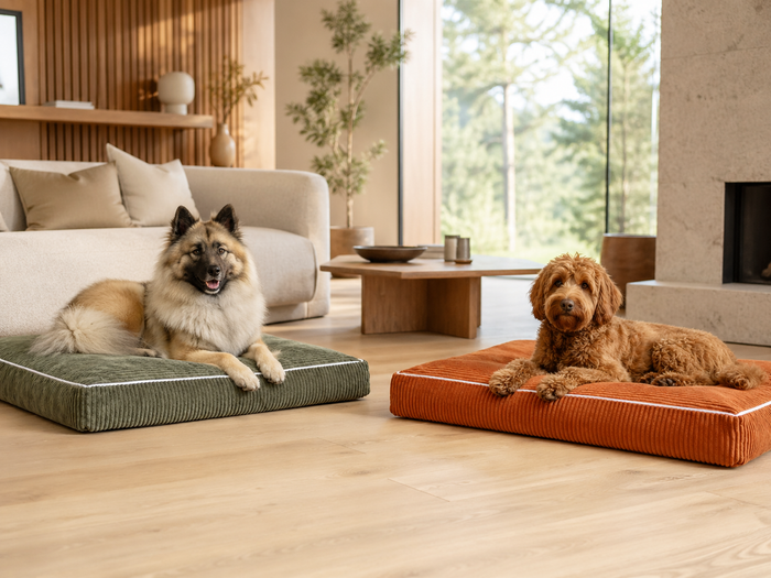 Hunde Bett Cordy