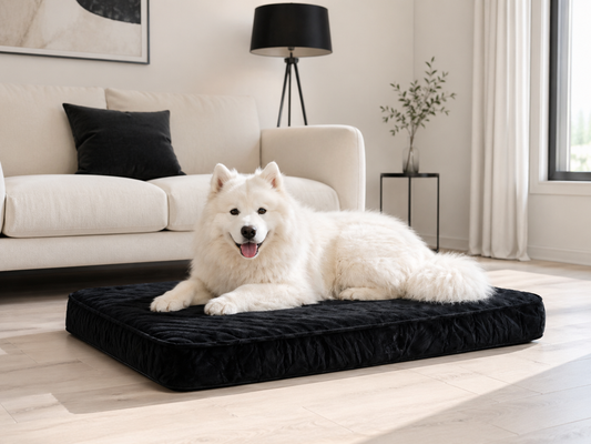 Hunde Bett Comfy - Orthopädisches Hunde Bett 2 in 1 - 90x80x8.5cm