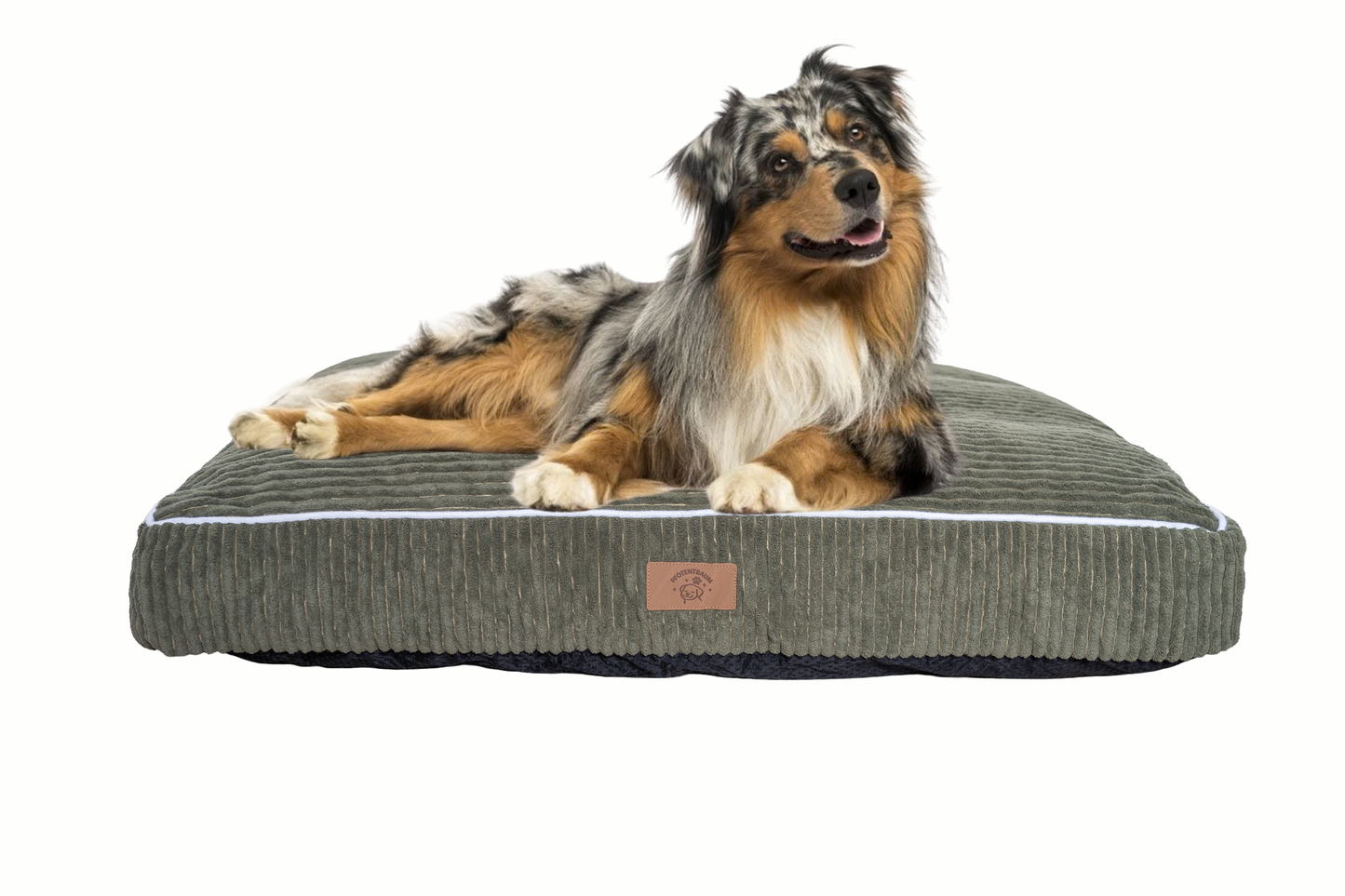 Hunde Bett Cordy