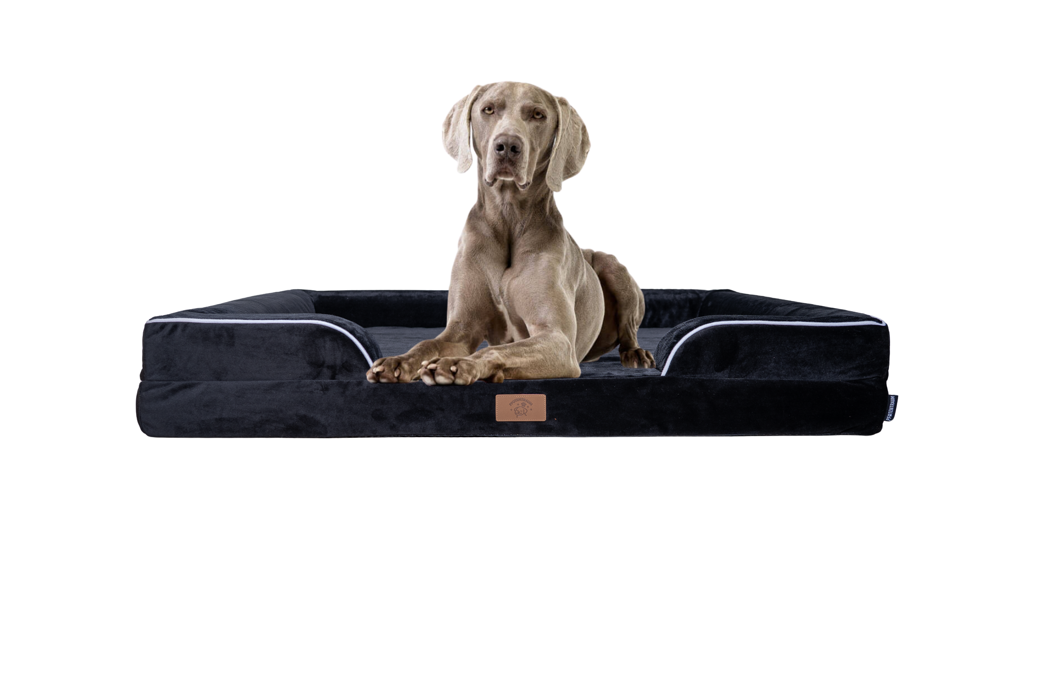 Hundebett Orthy - das Orthopädische Hundebett