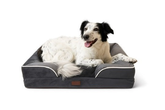 Hundebett Orthy - das Orthopädische Hundebett