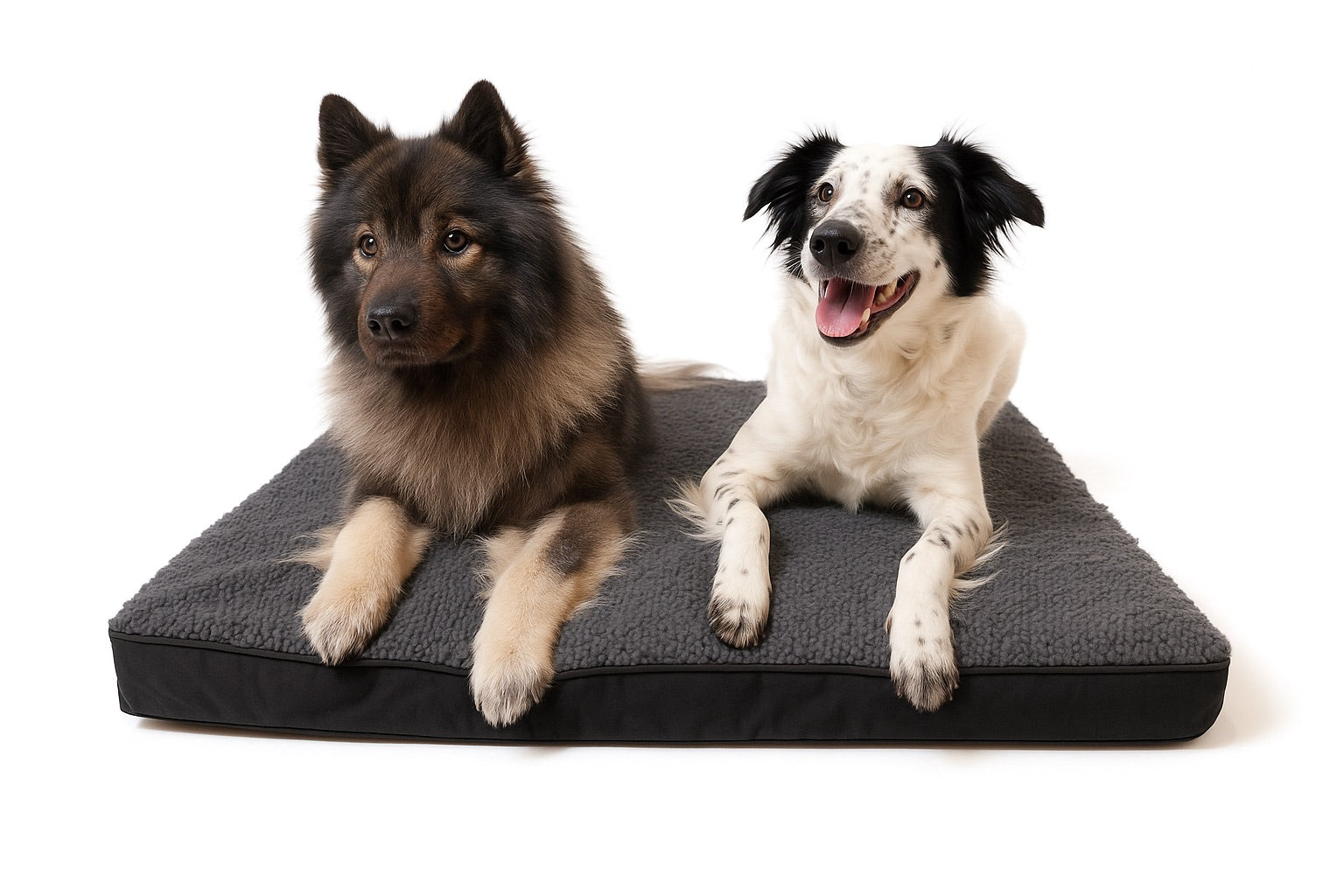Hunde Bett Comfy - Orthopädisches Hunde Bett 2 in 1