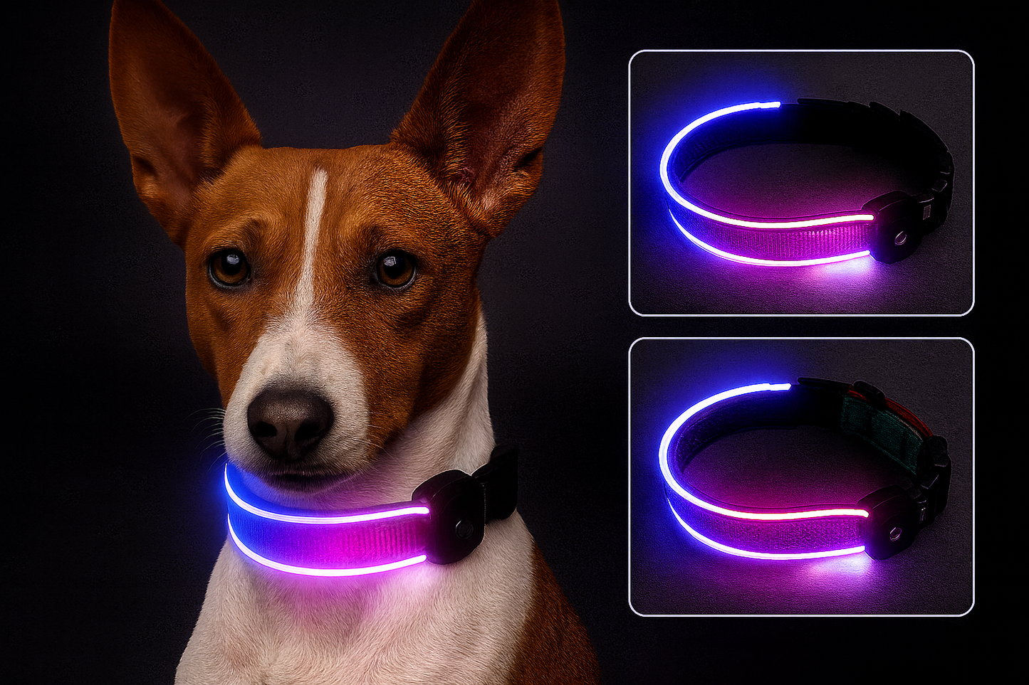 Led Halsband Amigo - gut sichtbar in der dunkeln Jahreszeit