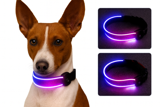 Led Halsband Amigo - gut sichtbar in der dunkeln Jahreszeit