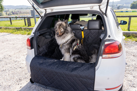 Kofferraumschutz "Akiro" mit Ladekantenschutz - Kratzfest & Wasserabweisend