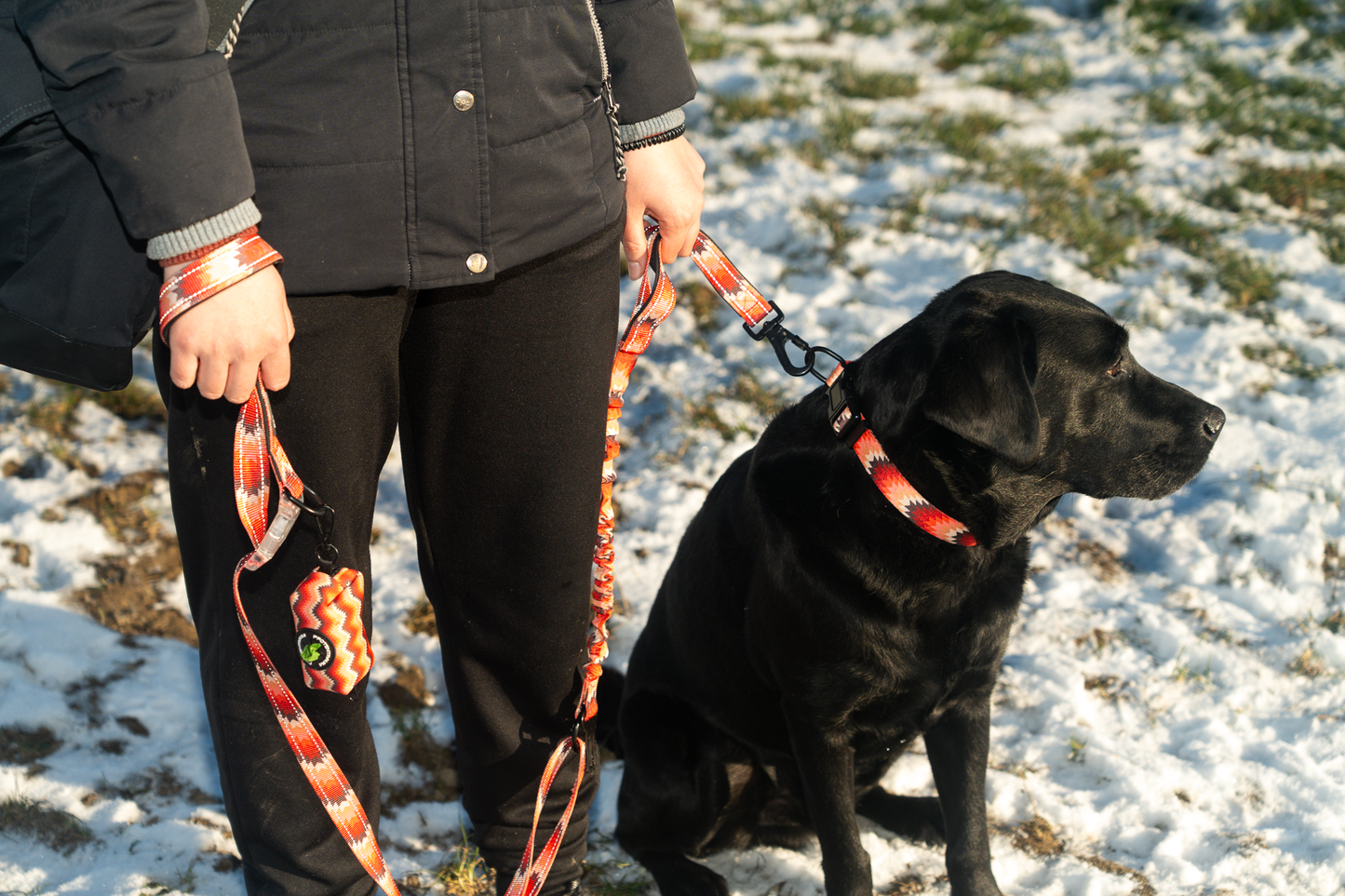 5 in 1 Bungee Leine "Paavo"