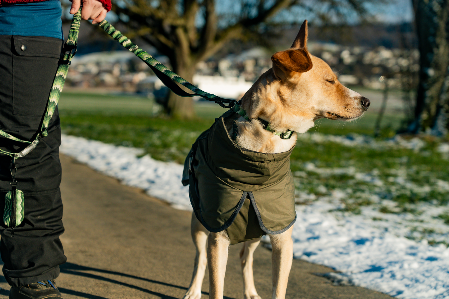 Hunde (wärme)-Regenmantel für die nassen und kalten Tage
