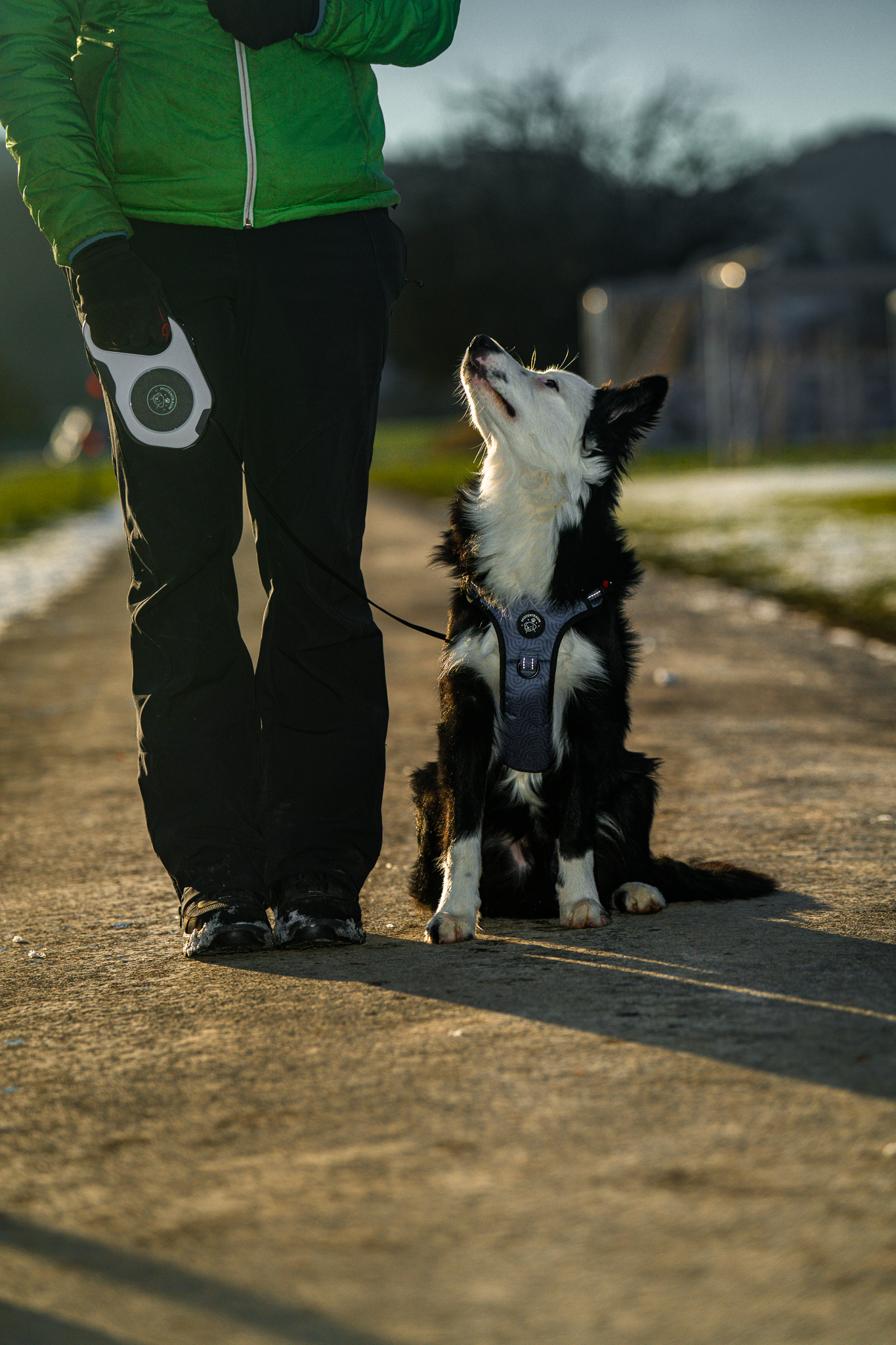 LED Roll-Leine Luna - die Ausziehleine neu erfunden
