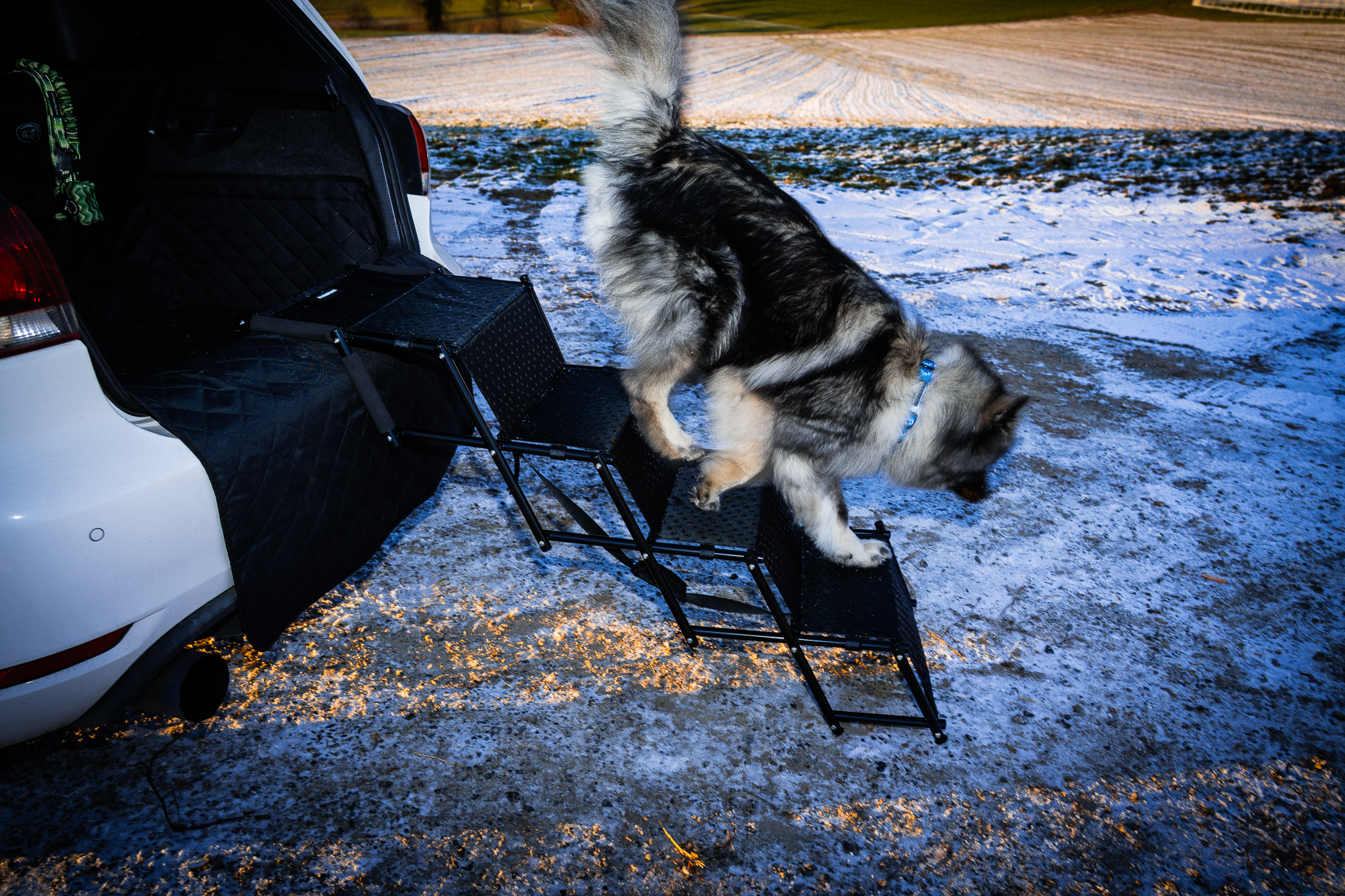 Hunde Treppe faltbar mit 4 Stufen - Antirutsch Beschichtung 