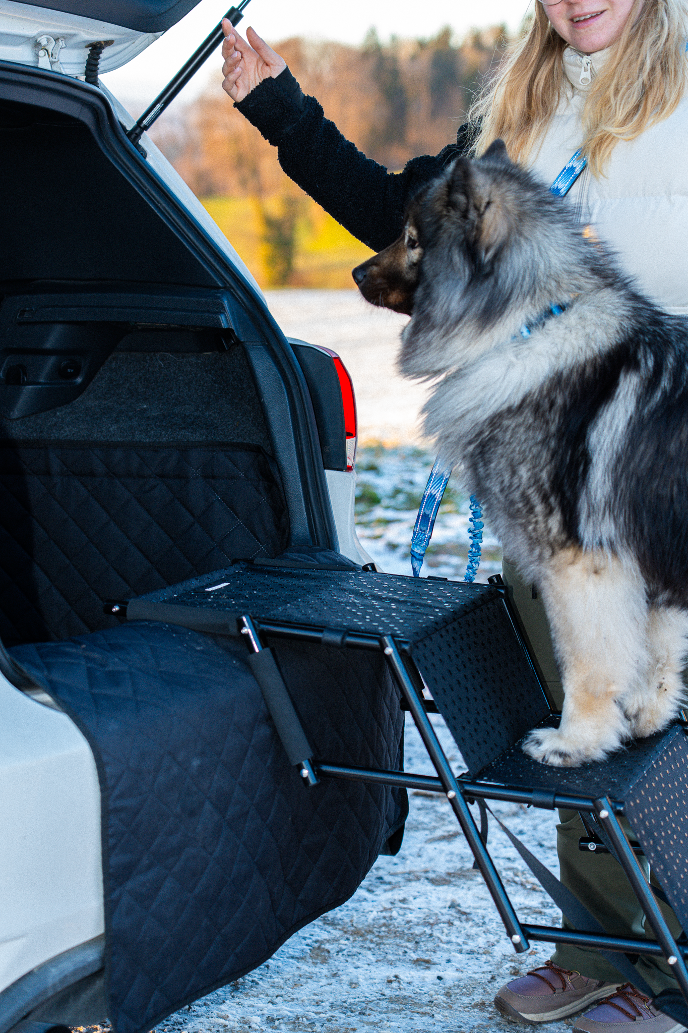 Hunde Treppe faltbar mit 4 Stufen - Antirutsch Beschichtung 