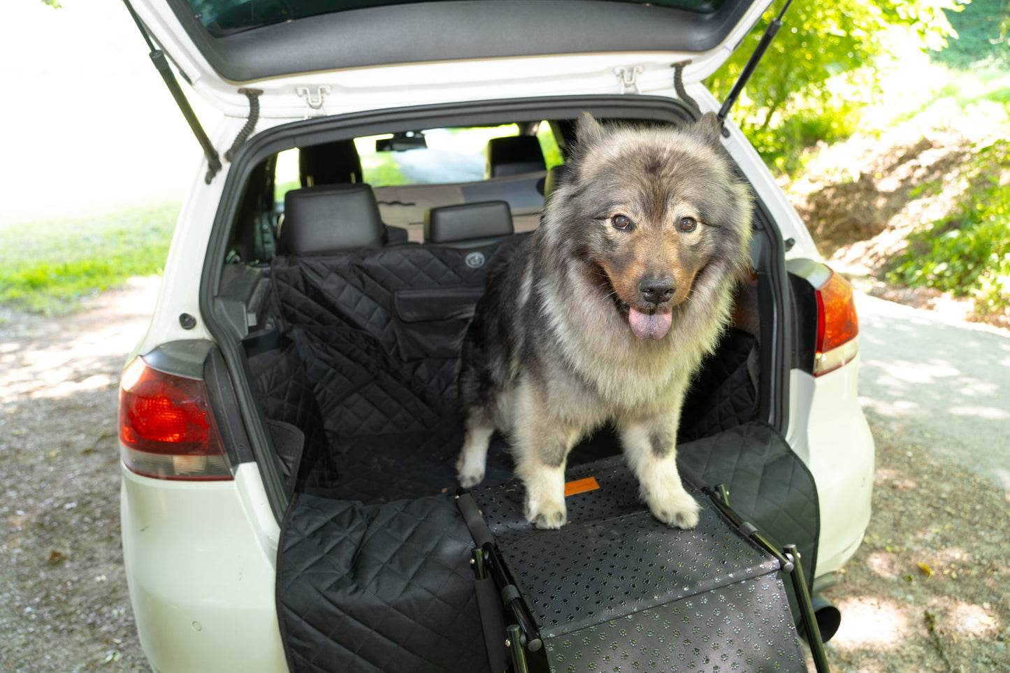 Hunde Treppe faltbar mit 4 Stufen - Antirutsch Beschichtung "Pfotentreppe"