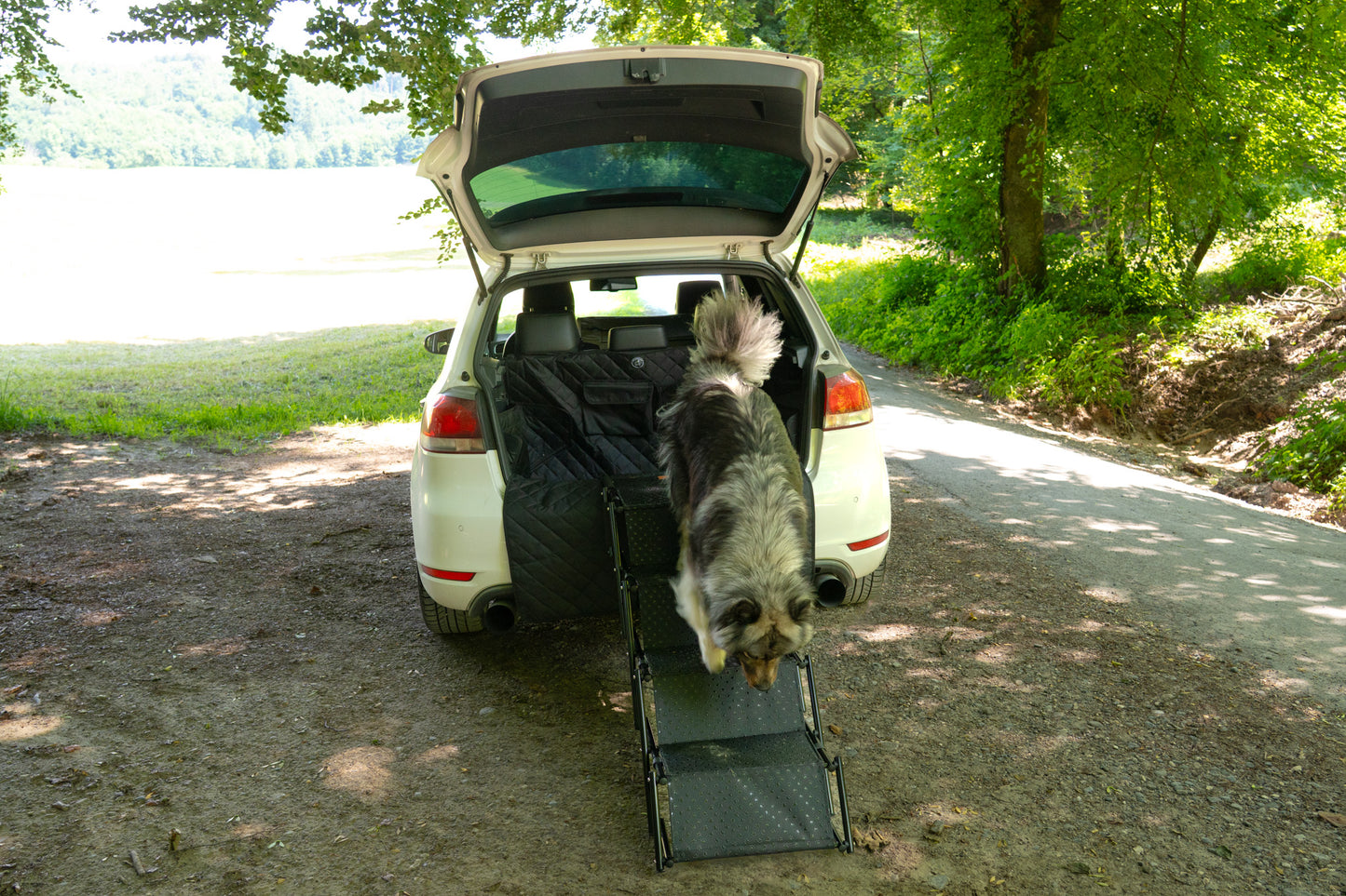 Hunde Treppe faltbar mit 4 Stufen - Antirutsch Beschichtung "Pfotentreppe"