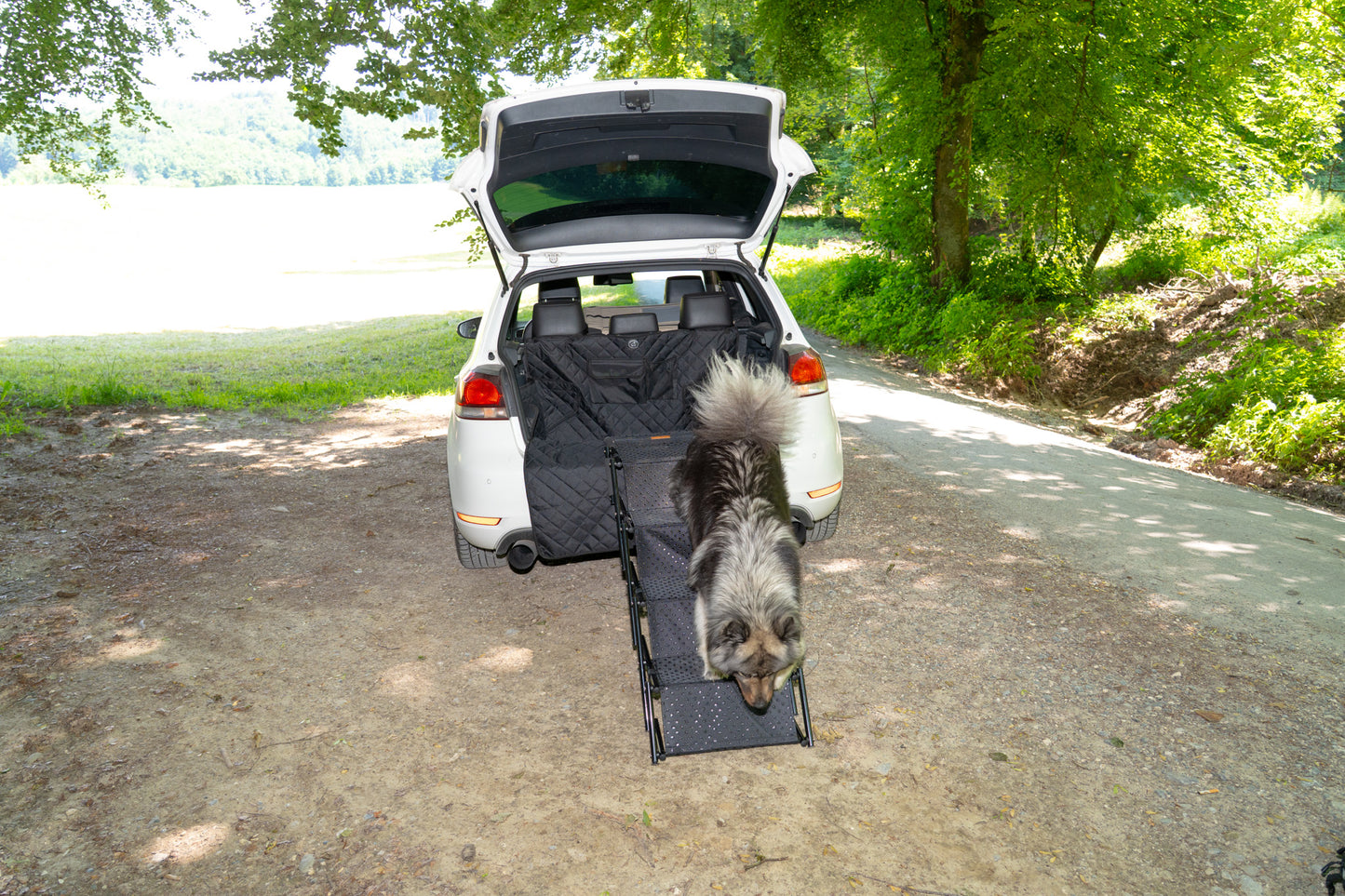 Hunde Treppe faltbar mit 4 Stufen - Antirutsch Beschichtung "Pfotentreppe"