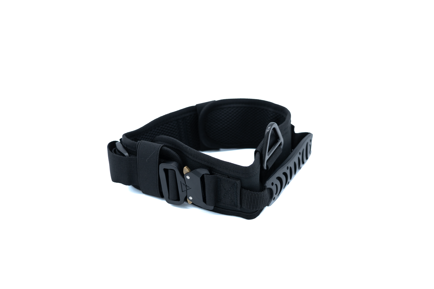 Tactical Havy duty Halsband Rex XL - mit zwei Schnallen
