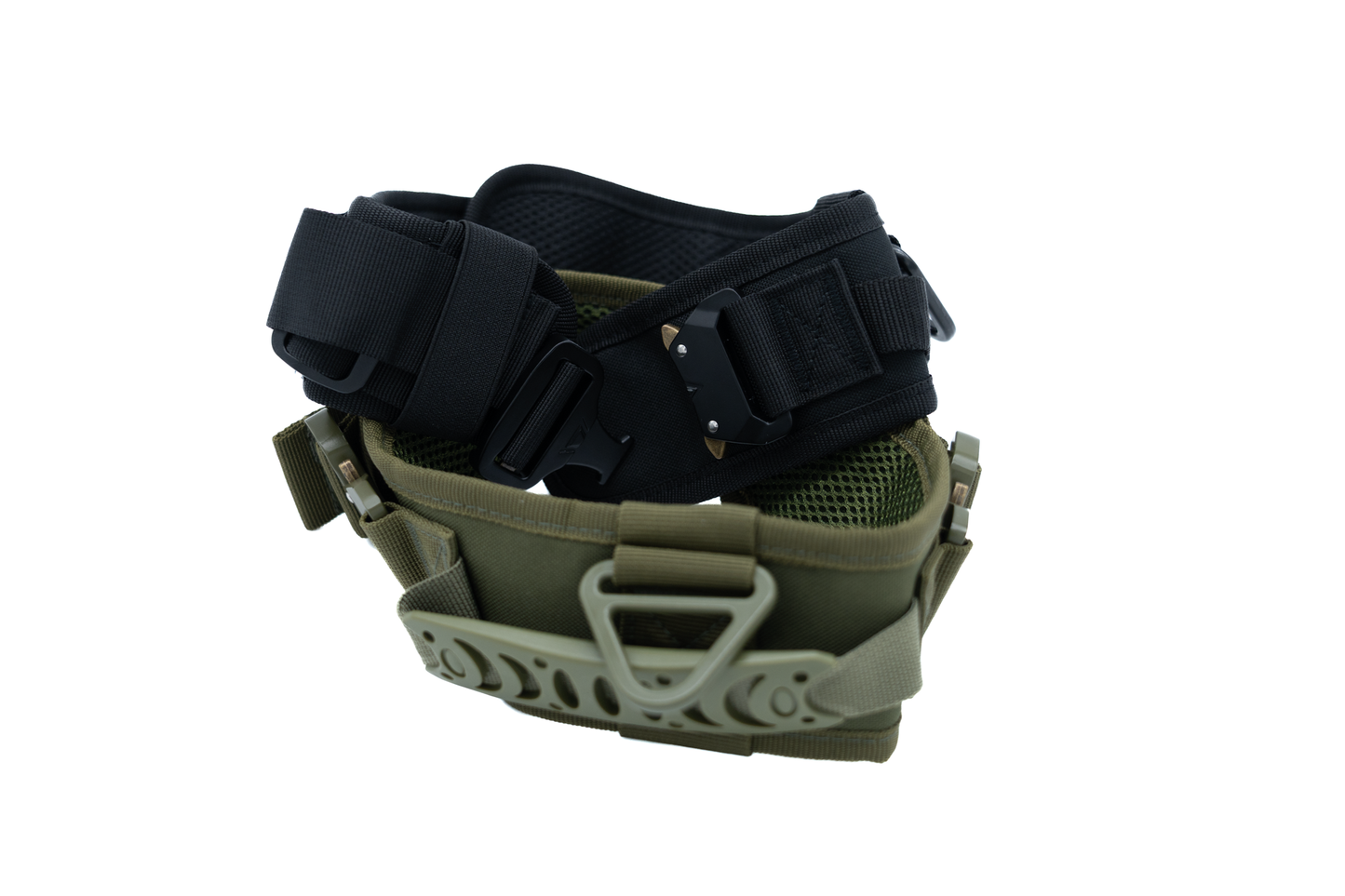 Tactical Havy duty Halsband Rex XL - mit zwei Schnallen