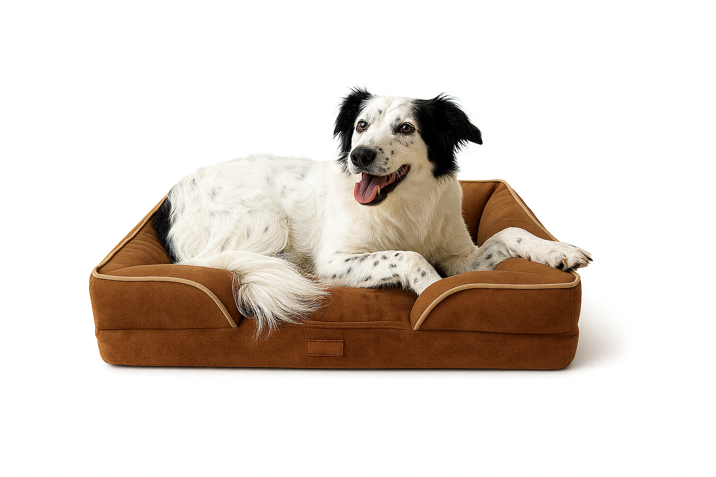 Hundebett Orthy - das Orthopädische Hundebett