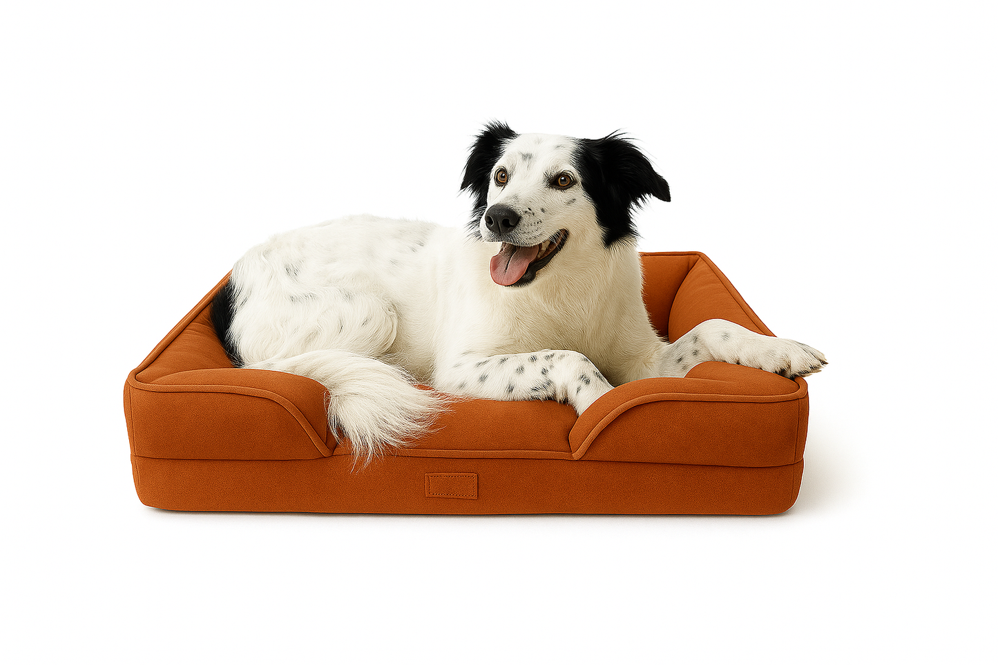 Hundebett Orthy - das Orthopädische Hundebett